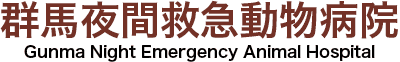 群馬夜間救急動物病院