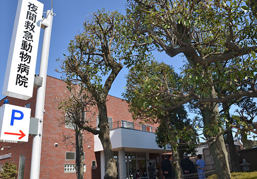 群馬夜間救急動物病院